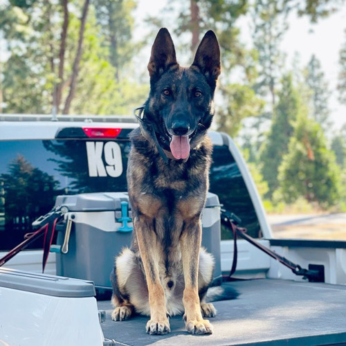 CCSO Titan