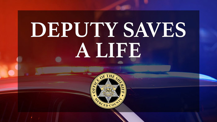 MCSO life