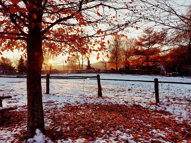 sunset 1906999 640 fall snow