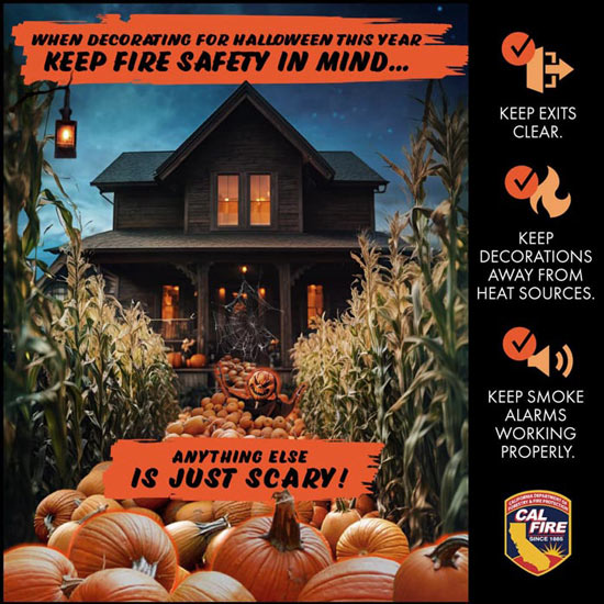CAL Fire Halloween 550