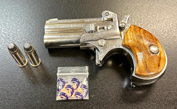 CCSO gun