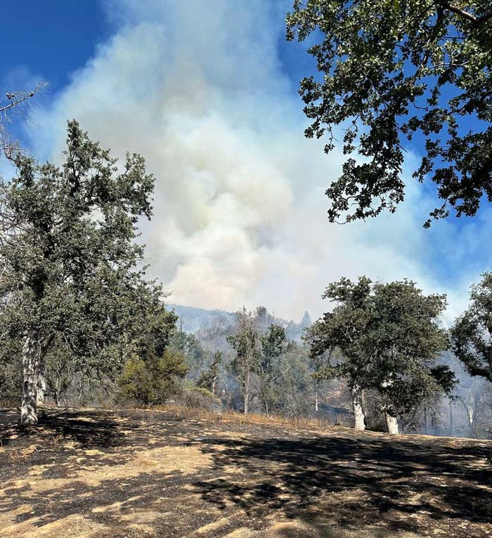 MCSO King Fire