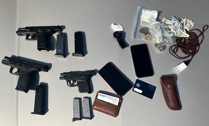 MPD teen thief