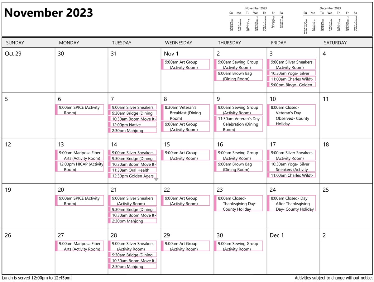 November Activities