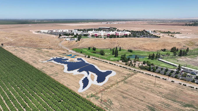 SolarFieldRendering