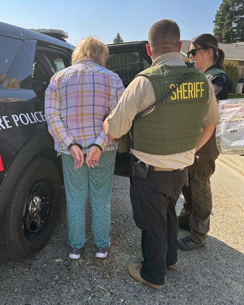 TCSO domestic 4