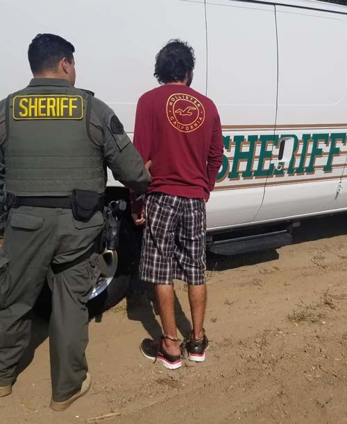 TCSO domestic 5