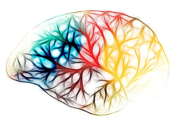 brain 7558942 640