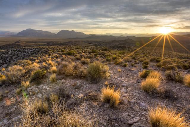 Basin and Range National Monument credit bob wick blm