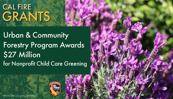 Cal fire grants