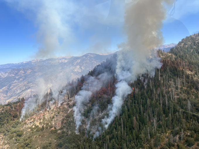 Coffeepot Fire SW flank looking N 8 15 24