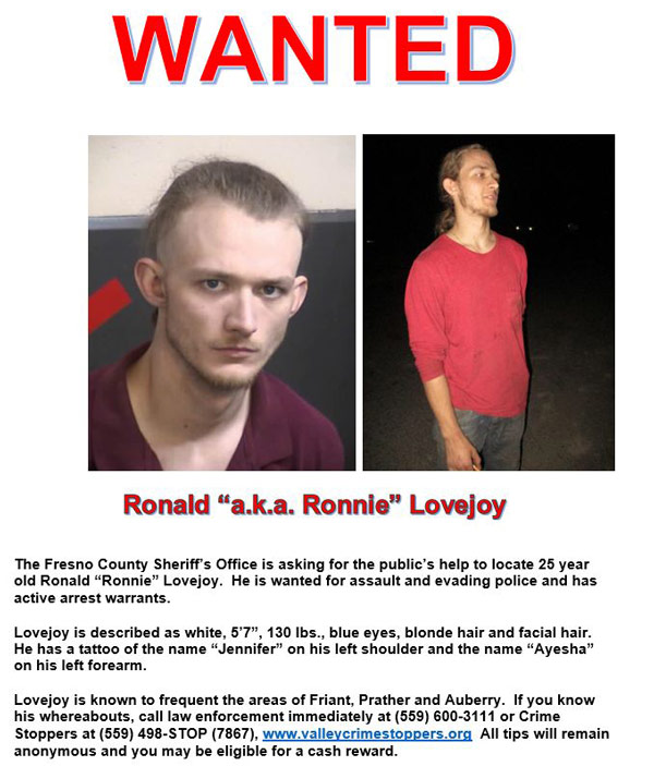 FCSO wanted Lovejoy