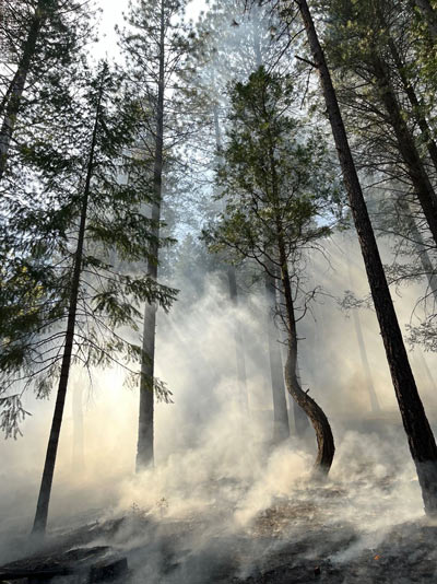 Fire Andrew Latimer uc davis