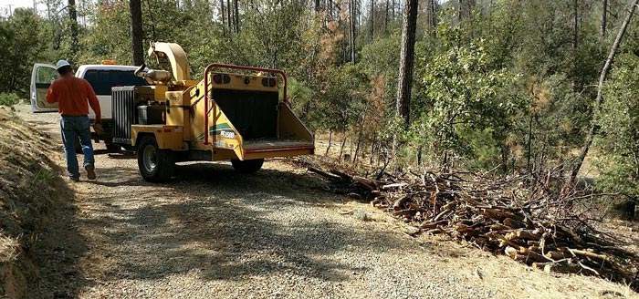 MFSC defensible space