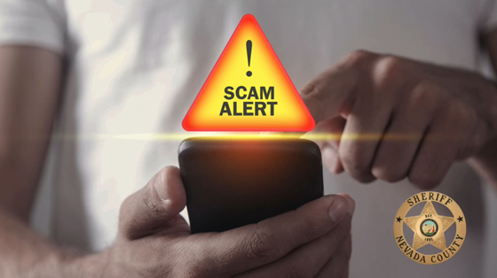 NCSO scam