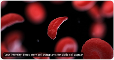 NIH blood cells