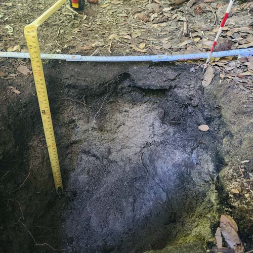 NPS archeologists 3