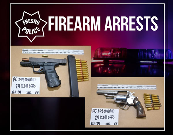 FPD firearm