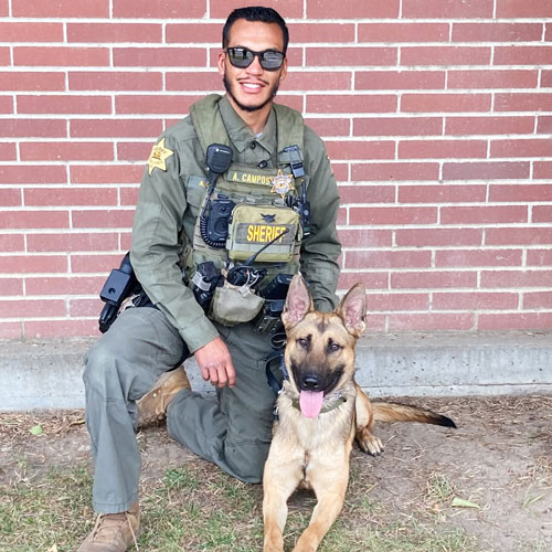 Merced SO K9 Jax