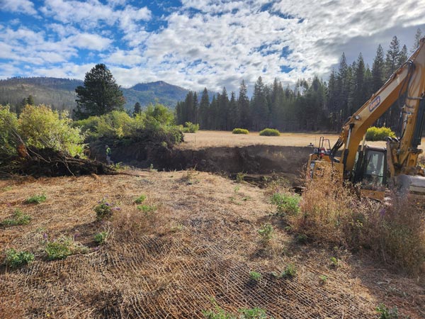 NPS Ackerson Meadow 3