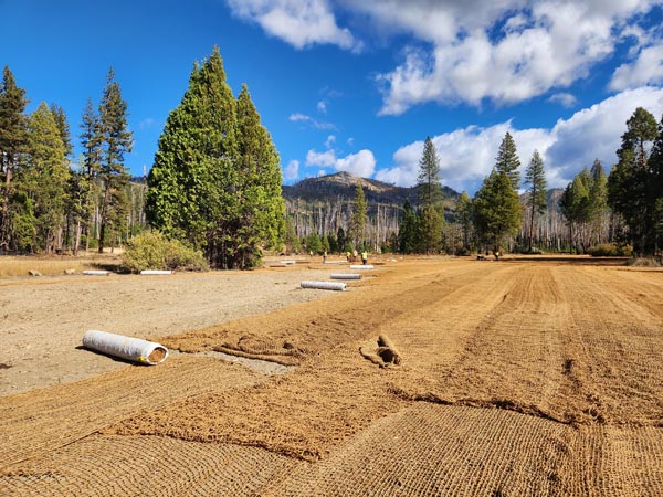 NPS Ackerson Meadow 6