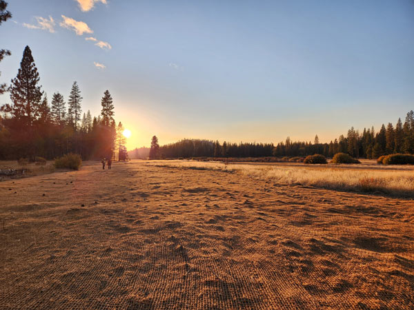 NPS Ackerson Meadow 7