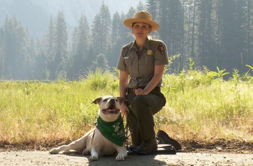 NPS bark ranger