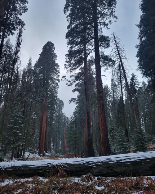 NPS trip 2