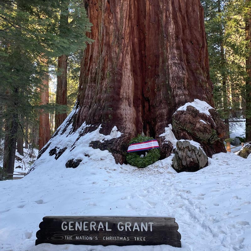Nations Christmas Tree General Grant Tree kings canyon national park nps photo