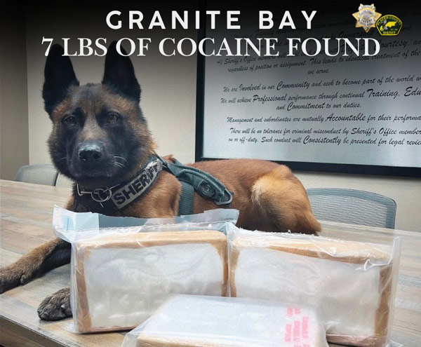 PCSO cocaine