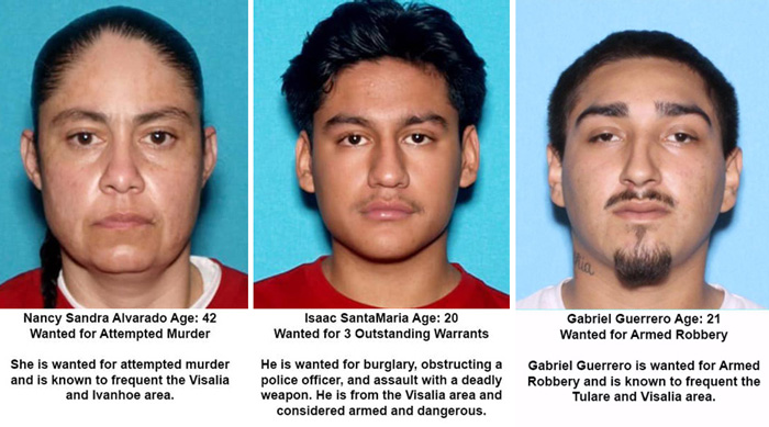TCSO fugitives