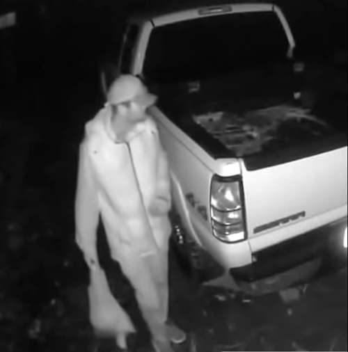 TCSO theft suspect
