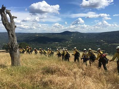 blm firefighters