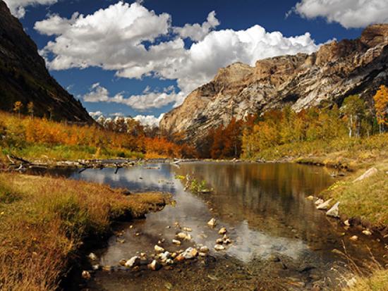 ruby mountain