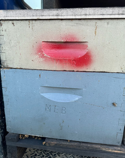 FCSO hives 1