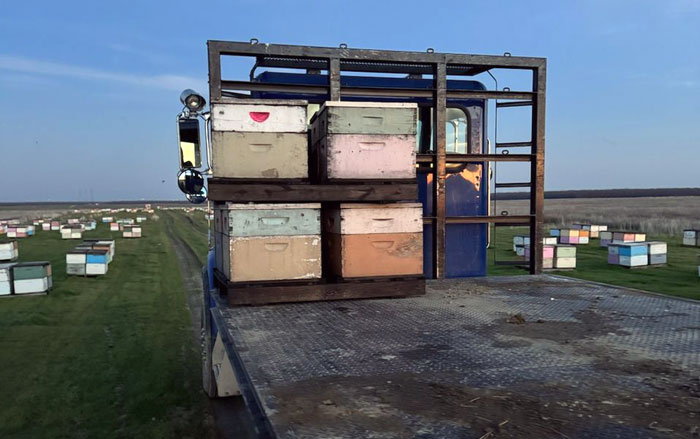 FCSO hives 2
