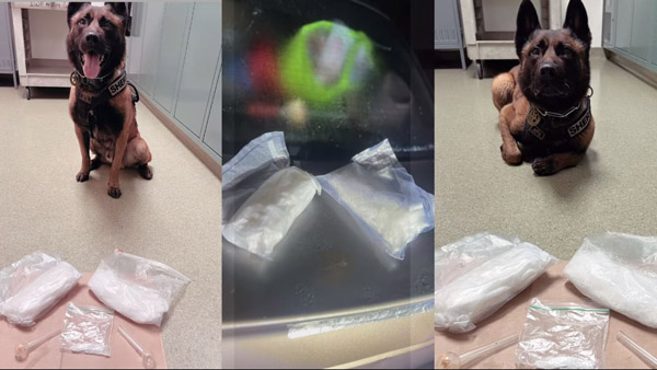 PCSO meth arrest dog