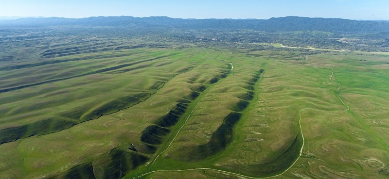 WCB GrasslandsPhoto