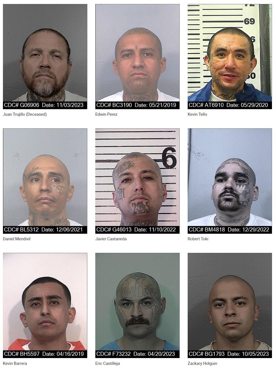 cdcr206.1