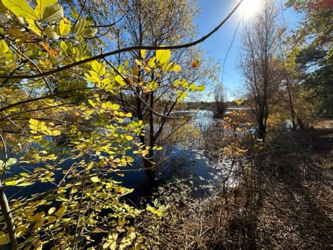 cosumnes river preserve cdfw
