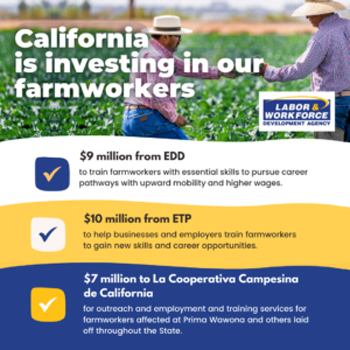 farmworker wrap up 300x300