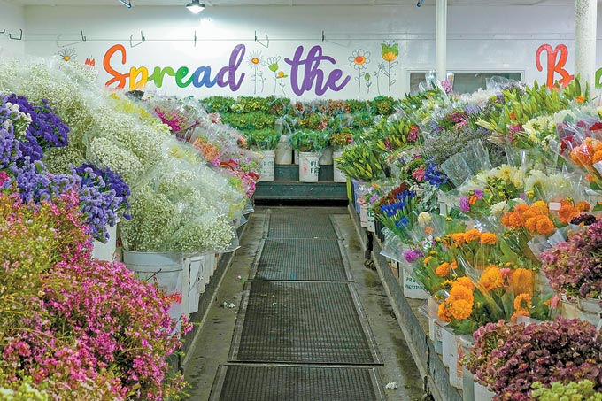 flowers214 ca farm bureau