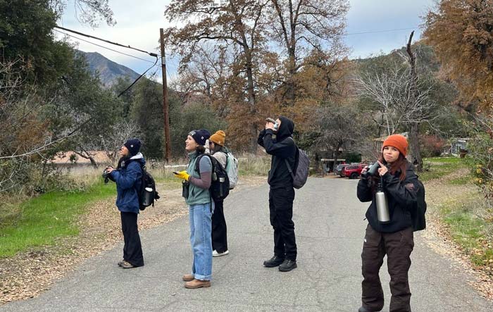 YNP bird count 1