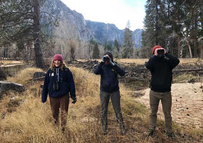YNP bird count 2