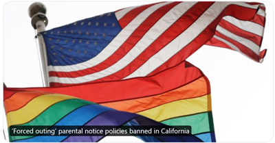 Bonta flag 400