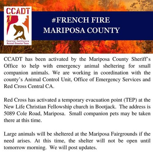 CCADT animals
