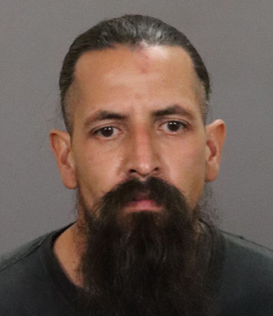 FCSO AG thief