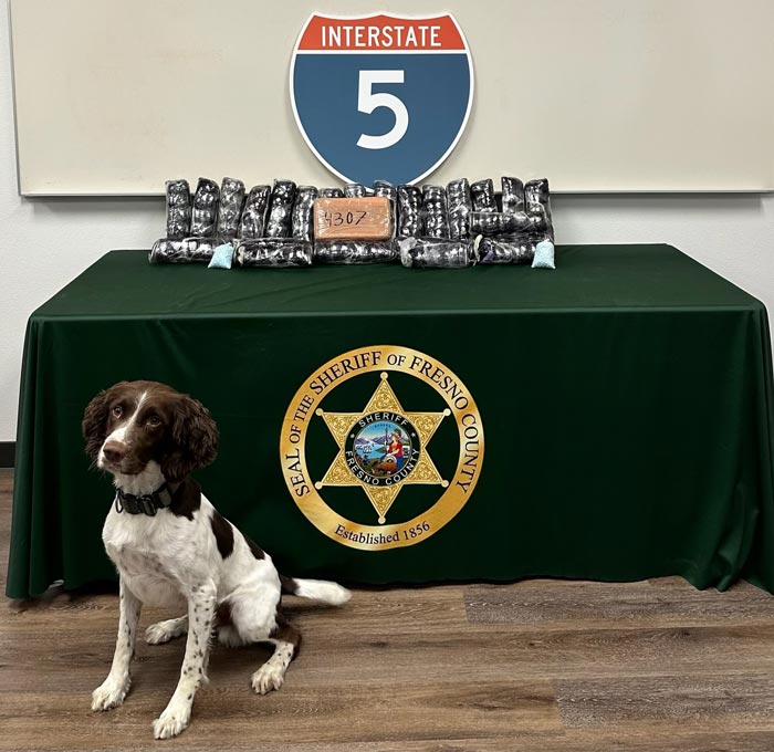 FCSO Araujo Valenzuela dog