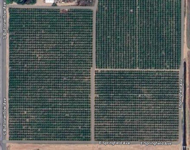FCSO Reedley orchard