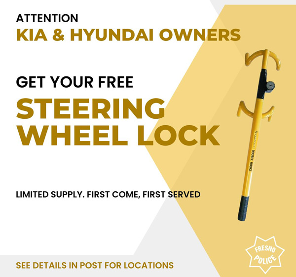 FPD vehicle locks